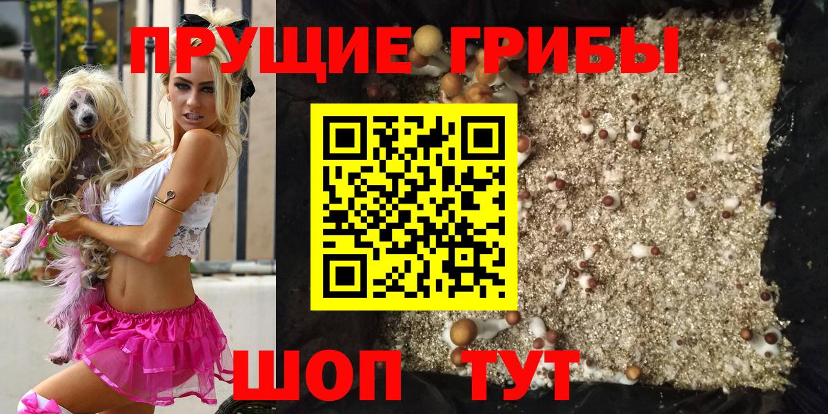 Галлюциногенные грибы GOLDEN TEACHER Благовещенск